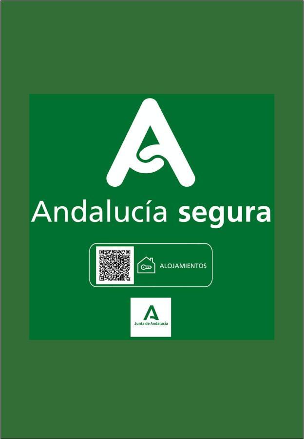 Holidays2Malaga Biedmas Terraza En Casco Historico Екстериор снимка